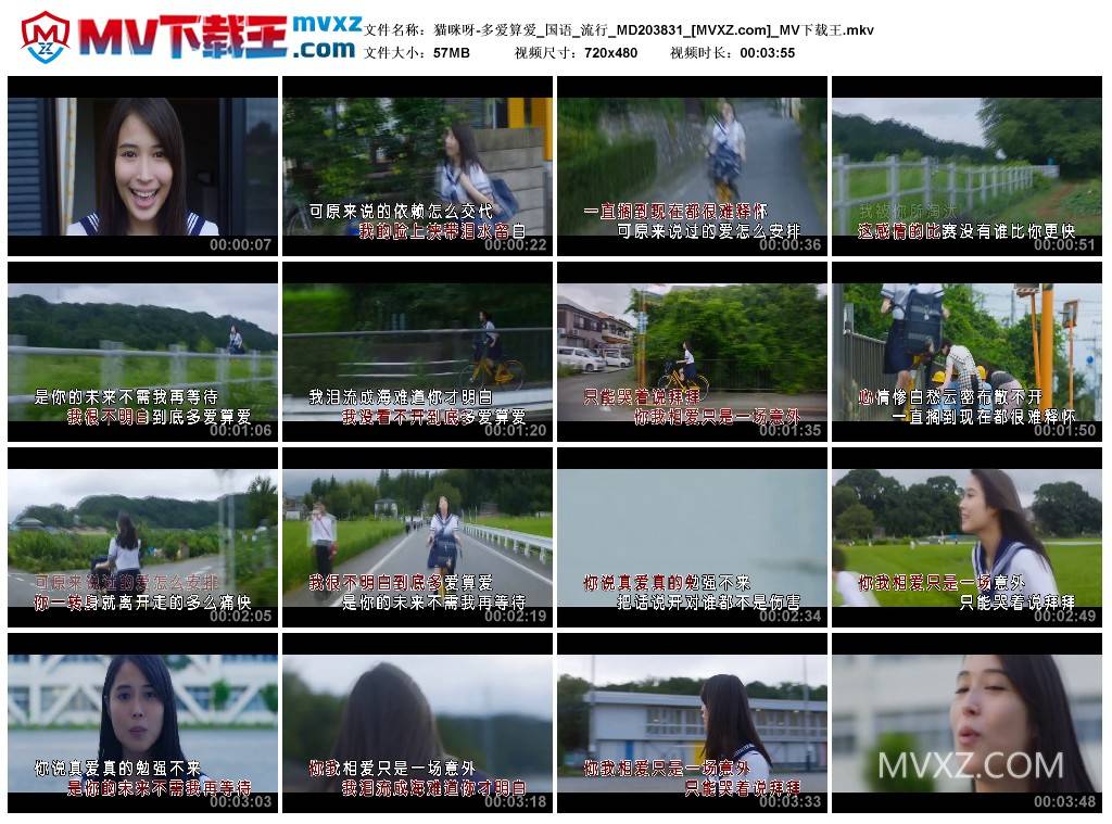 猫咪呀-多爱算爱_国语_流行_MD203831